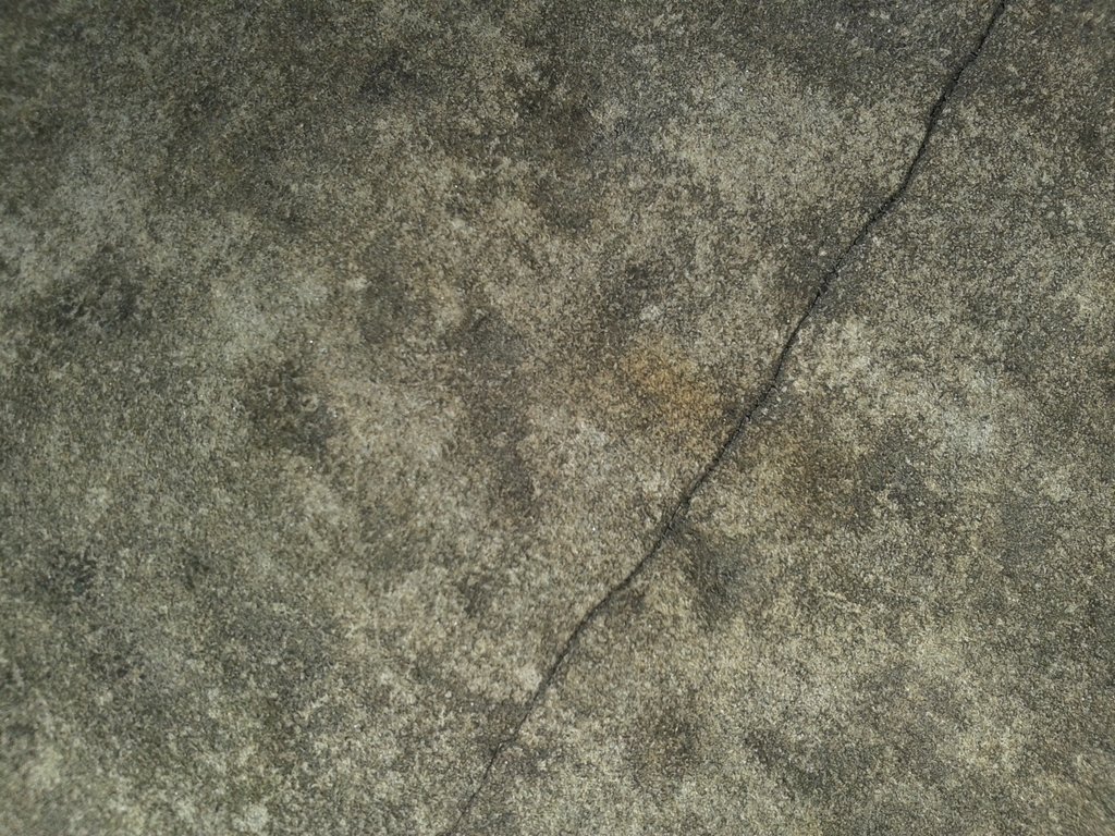 Foto 326